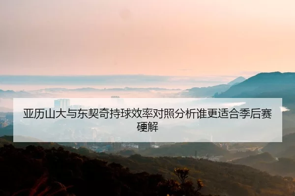 亚历山大与东契奇持球效率对照分析谁更适合季后赛硬解
