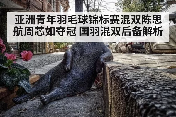 亚洲青年羽毛球锦标赛混双陈思航周芯如夺冠 国羽混双后备解析